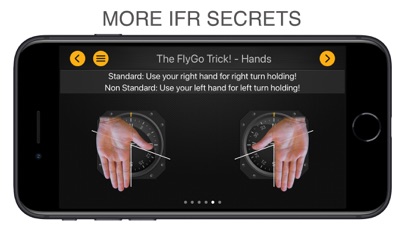 صور FlyGo IFR Trainer - All in 1