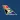 South African Airways