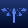 FLY- Study With a Buddy FLY- Study With a Buddy