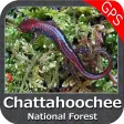 Chattahoochee National Forest - GPS Map Navigator Chattahoochee National Forest - GPS Map Navigator