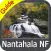 Nantahala National Forest gps outdoor map