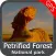 Petrified Forest National Park - GPS Map Navigator