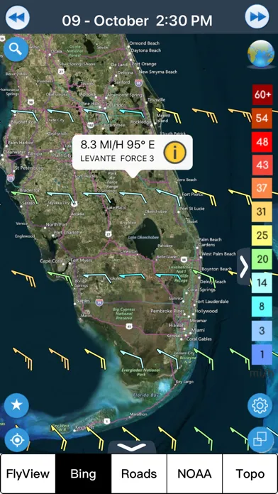 Wind forecast for Windgurus应用截图