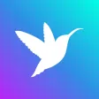 FlyTrendy Influencer Marketing