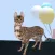 Cat Simulator - Cat Stunt Game