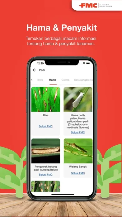 Capturas de pantalla de Sobat Jempolan