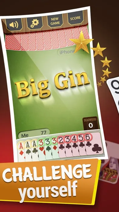 تصاویر Gin Rummy Best Card Game