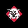 Davidson Gameday Davidson Gameday