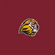 Liberty Lions Athletics