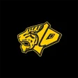 Tiger Teams
