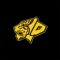 Tiger Teams
