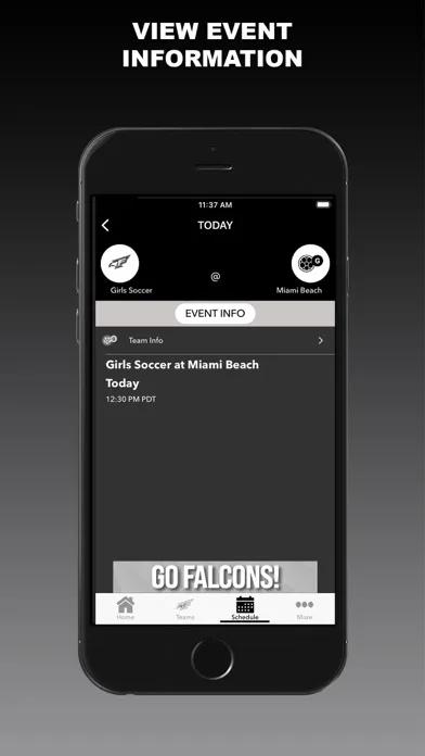 Capturas de tela do Falcons Athletics