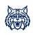Wilmington Wildcats Athletics