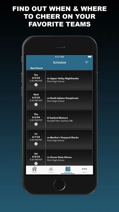تصاویر Mystic Schooners Baseball