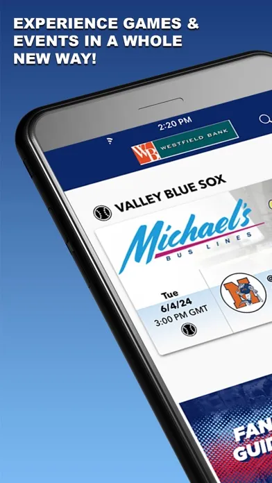 ภาพหน้าจอของ Valley Blue Sox