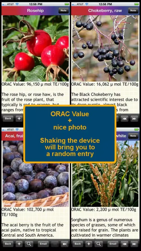Capturas de pantalla de Antioxidants Food List