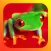 The Frogs Bible
