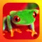 The Frogs Bible