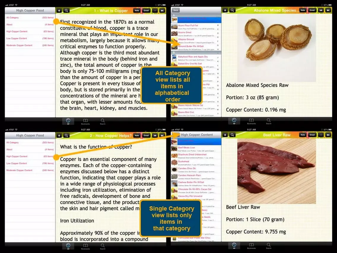 Capturas de tela do High Copper Food iPad 
