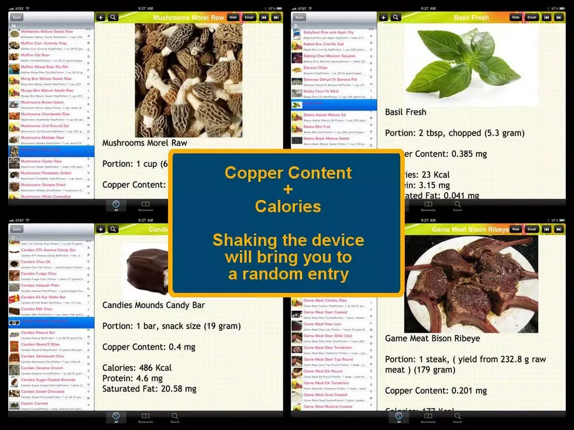Capturas de tela do High Copper Food iPad 