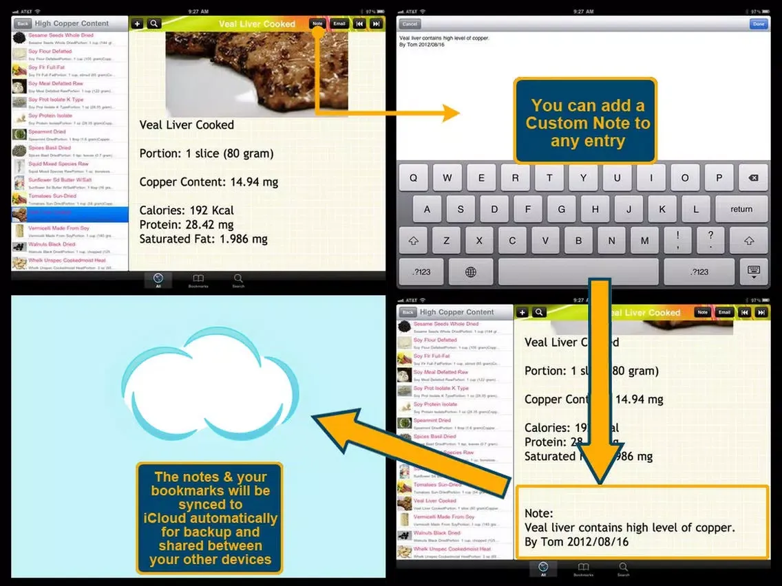 Capturas de tela do High Copper Food iPad 