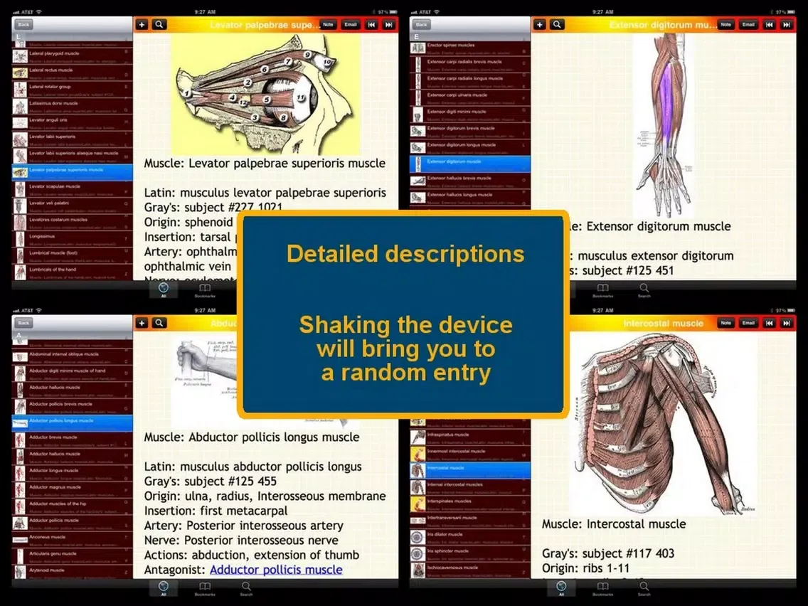 Human Muscle Encyclopedia Plus+ iPad  Screenshots