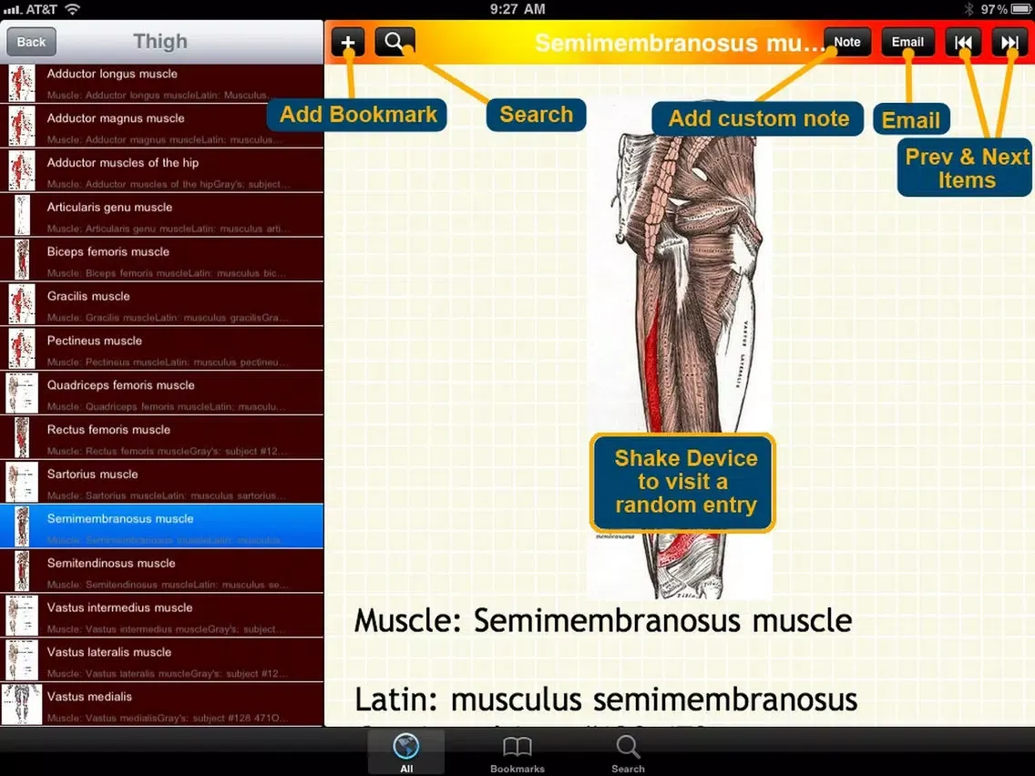 Human Muscle Encyclopedia Plus+ iPad  Screenshots
