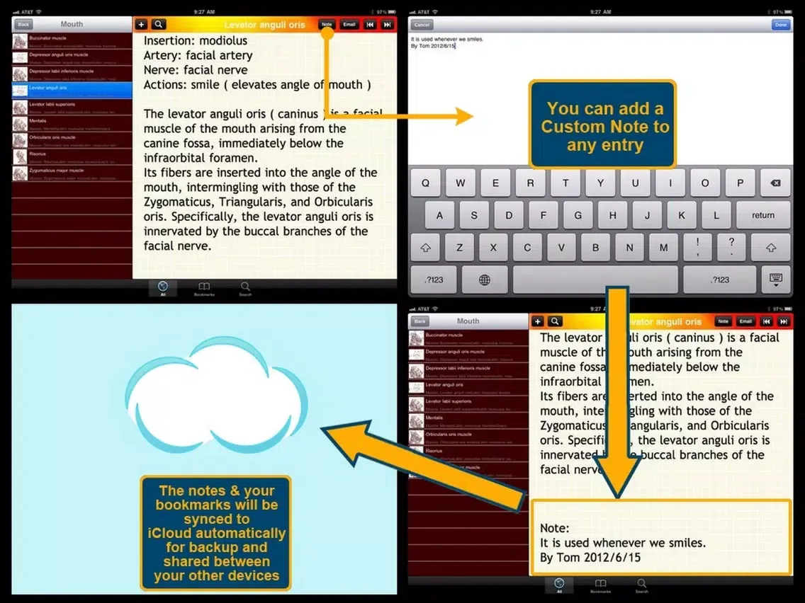 Human Muscle Encyclopedia Plus+ iPad  Screenshots