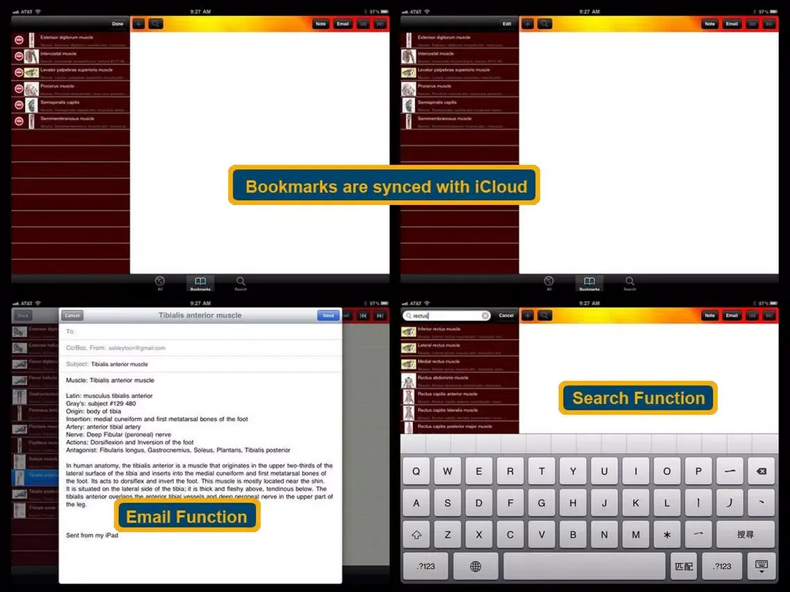 Human Muscle Encyclopedia Plus+ iPad  Screenshots