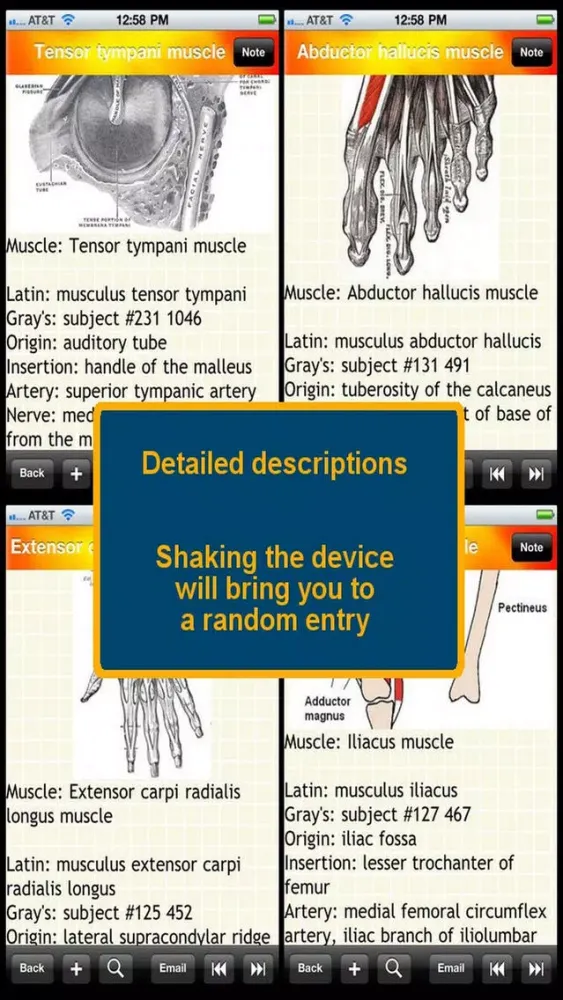 Human Muscle Encyclopedia Plus+ Screenshots