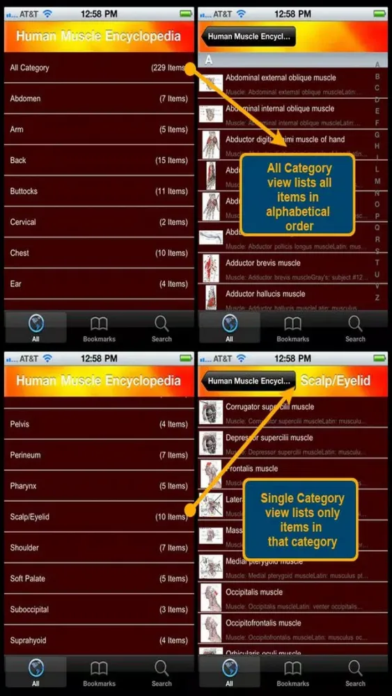 Human Muscle Encyclopedia Plus+ Screenshots