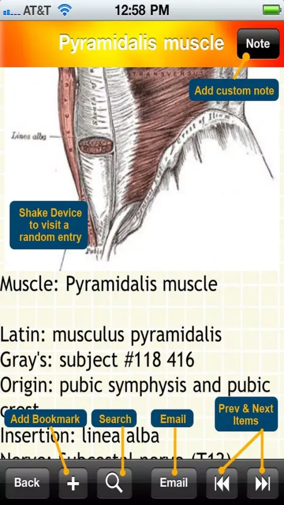Human Muscle Encyclopedia Plus+ Screenshots