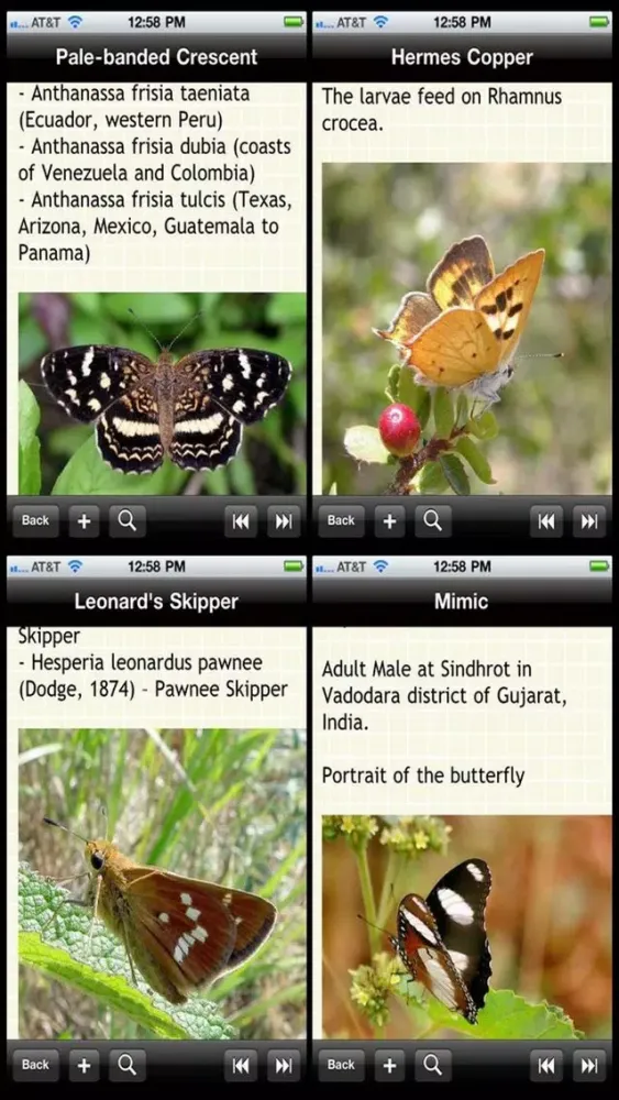 US Butterfly Bible स्क्रीनशॉट