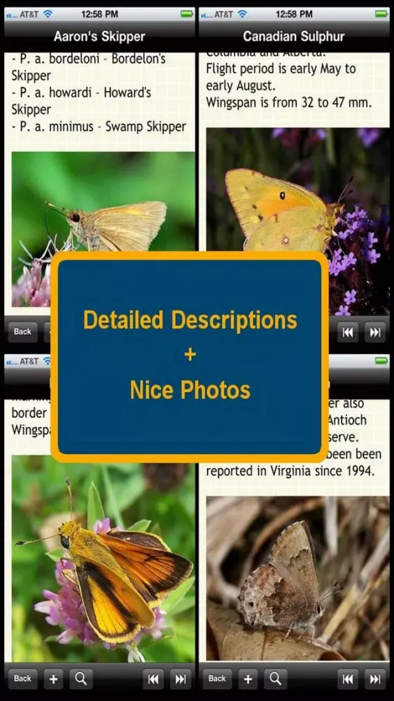 US Butterfly Bible स्क्रीनशॉट
