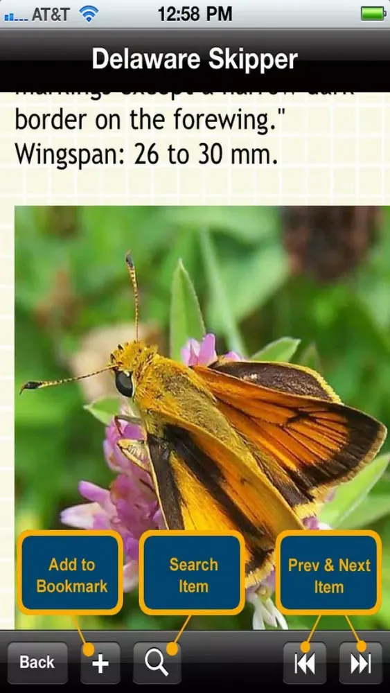 US Butterfly Bible स्क्रीनशॉट