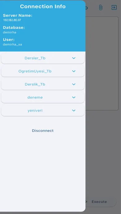 Screenshot di FOCUS Data Studio For SQL