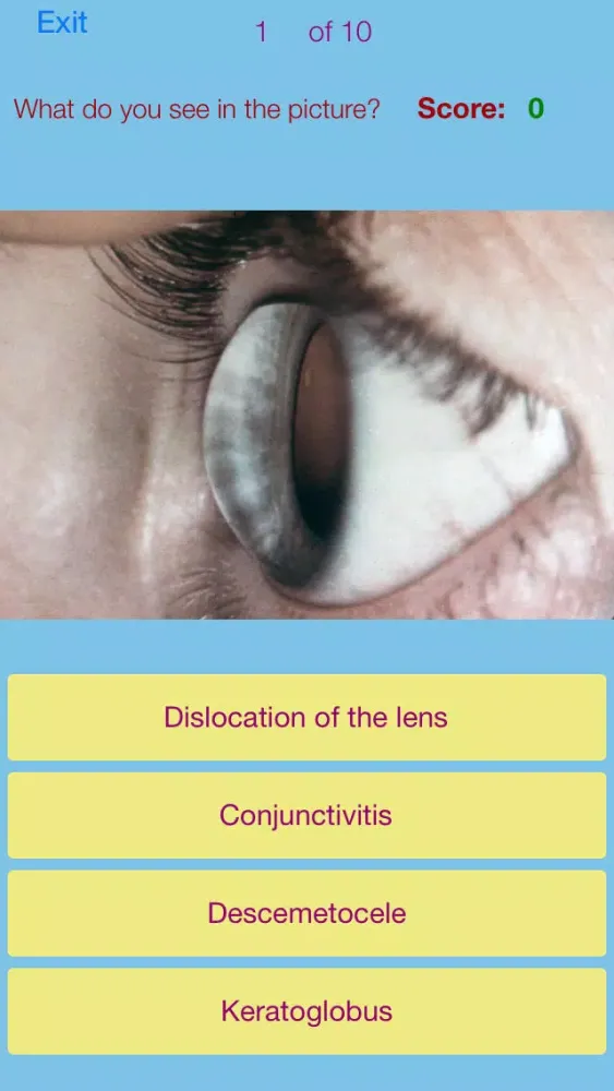 Ảnh chụp màn hình của Ophthalmic Pathology