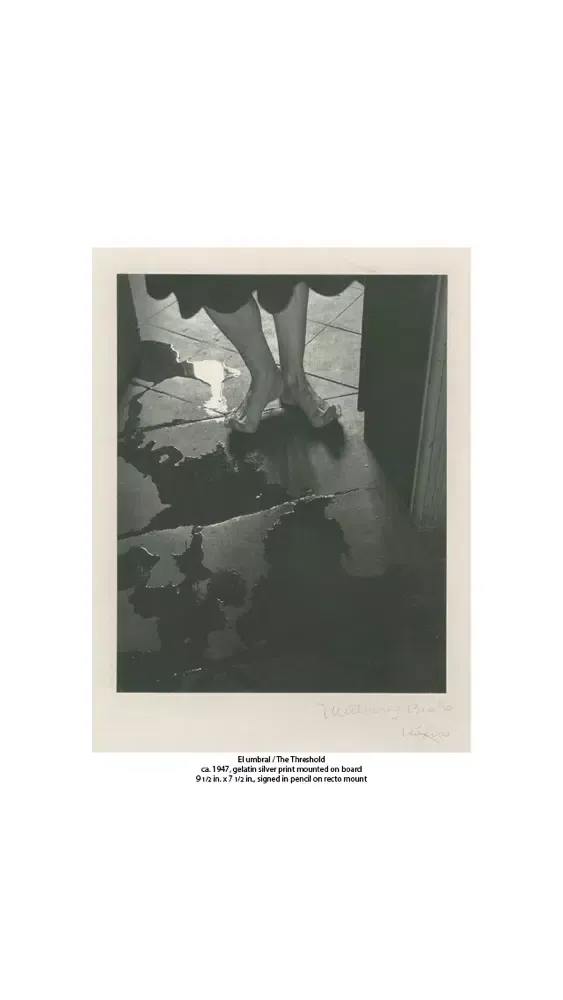 تصاویر Throckmorton Fine Art Magazine