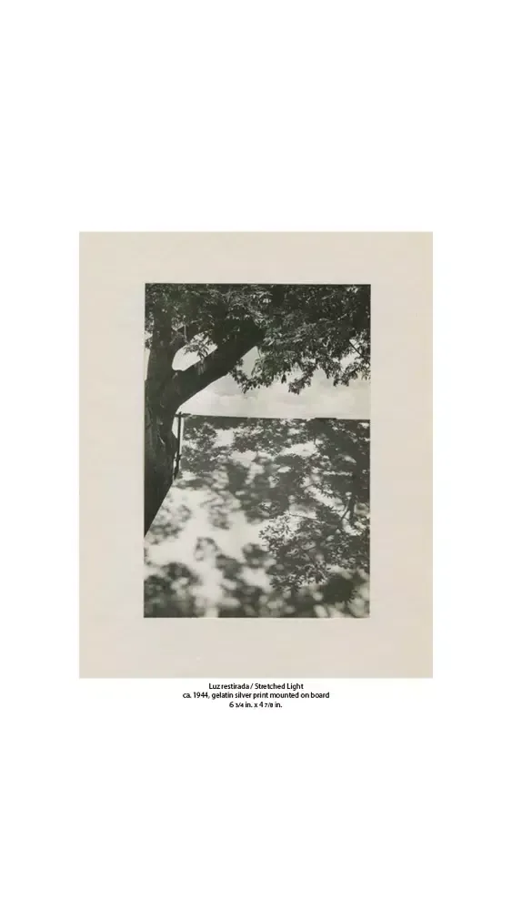 تصاویر Throckmorton Fine Art Magazine