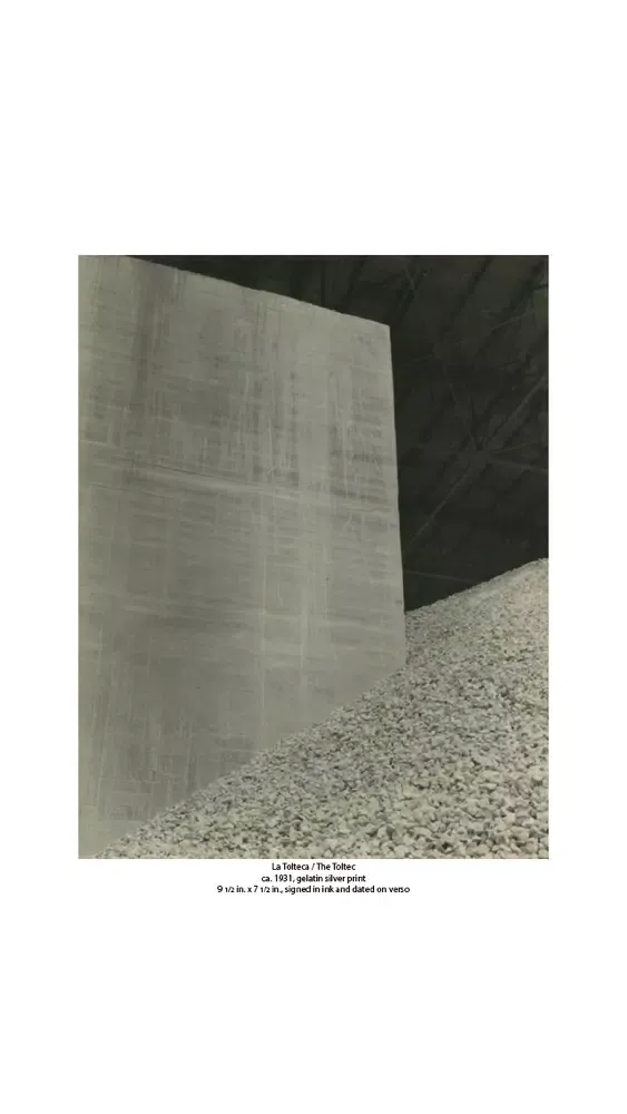 تصاویر Throckmorton Fine Art Magazine