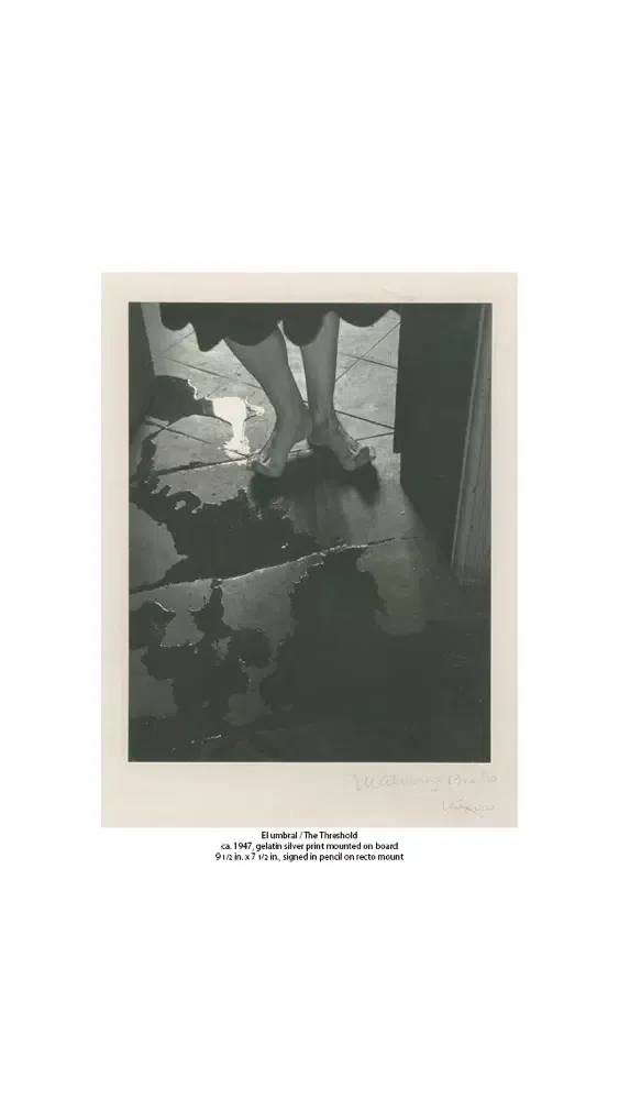 تصاویر Throckmorton Fine Art Magazine