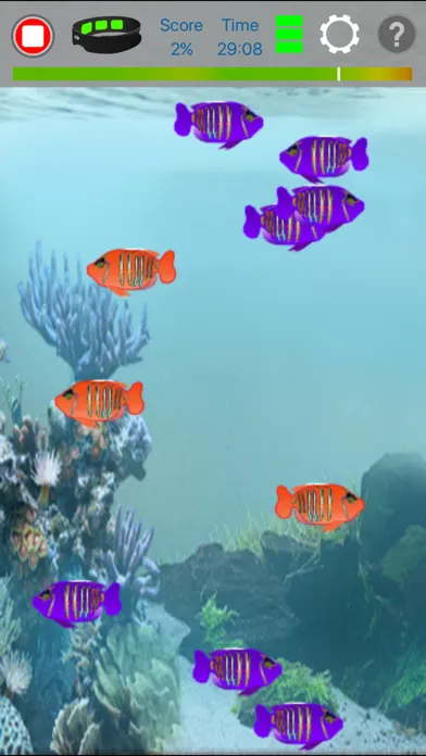 Capturas de pantalla de FocusBand FluidMynd
