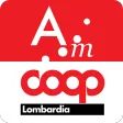 Audit Manager for COOP Lombardia