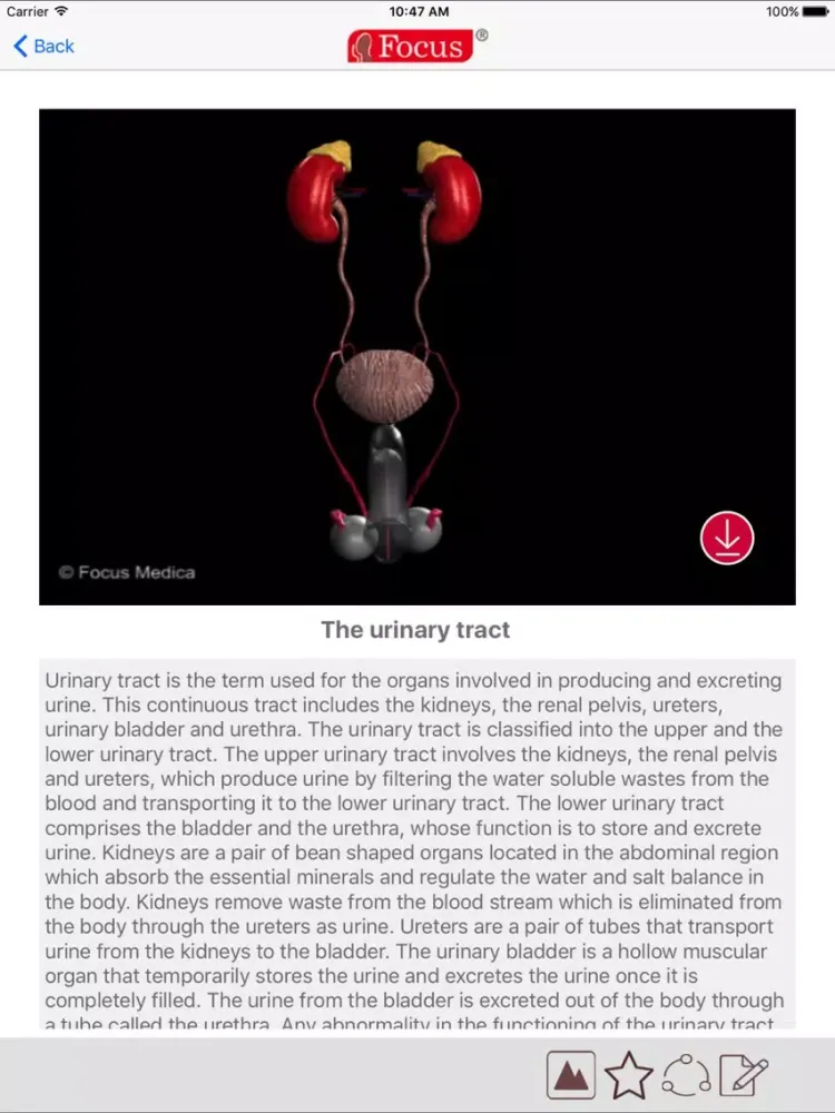 تصاویر Animated Atlas of BPH and OAB iPad 