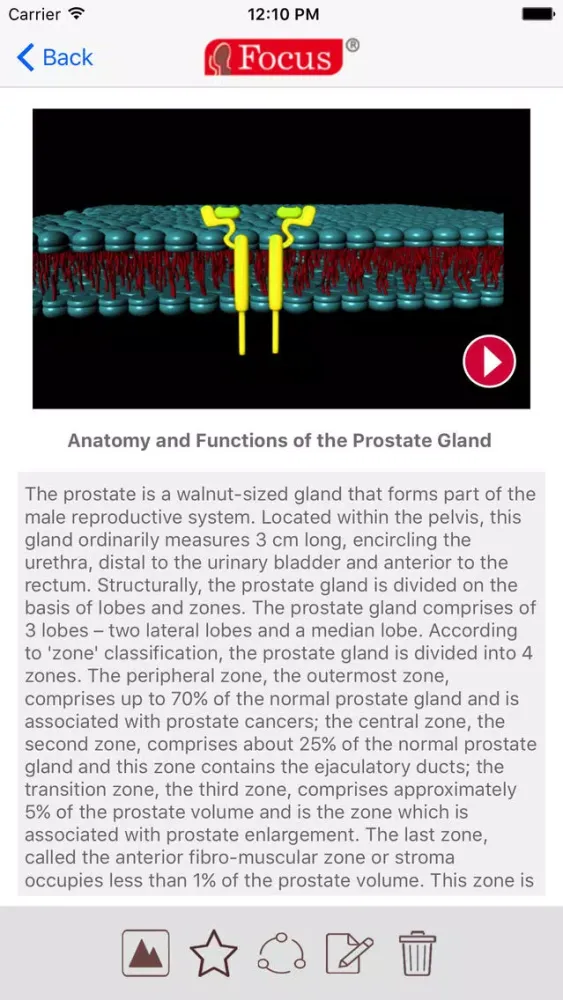 تصاویر Animated Atlas of BPH and OAB