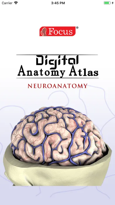 تصاویر NEUROANATOMY - Digital Anatomy
