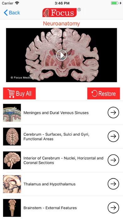 تصاویر NEUROANATOMY - Digital Anatomy