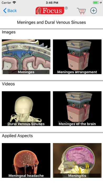 تصاویر NEUROANATOMY - Digital Anatomy