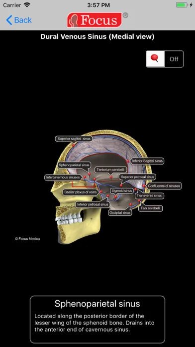 تصاویر NEUROANATOMY - Digital Anatomy