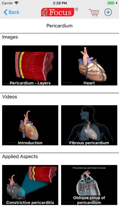 Ảnh chụp màn hình của HEART -  Digital Anatomy